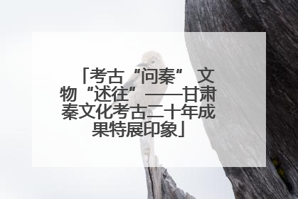 考古“问秦” 文物“述往”——甘肃秦文化考古二十年成果特展印象