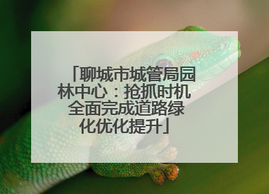 聊城市城管局园林中心：抢抓时机 全面完成道路绿化优化提升
