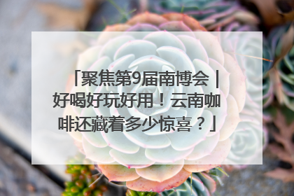 聚焦第9届南博会｜好喝好玩好用！云南咖啡还藏着多少惊喜？