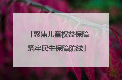 聚焦儿童权益保障 筑牢民生保障防线