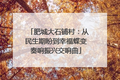 肥城大石铺村：从民生期盼到幸福蝶变奏响振兴交响曲