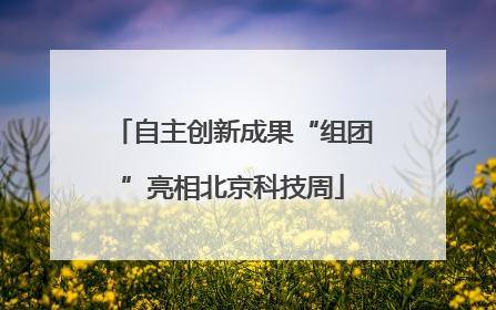 自主创新成果“组团”亮相北京科技周