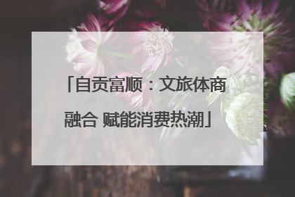 自贡富顺：文旅体商融合 赋能消费热潮