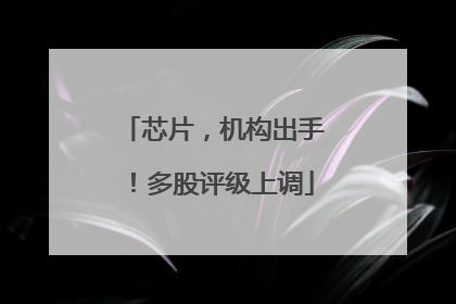 芯片，机构出手！多股评级上调