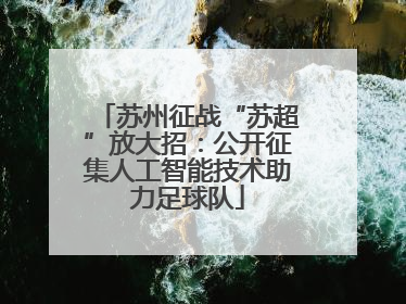 苏州征战“苏超”放大招：公开征集人工智能技术助力足球队