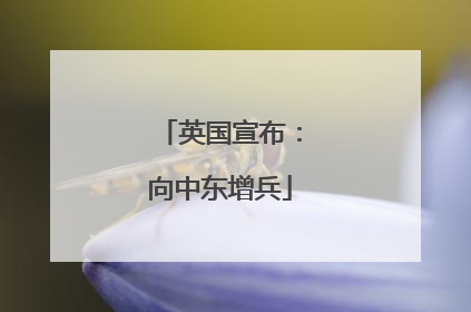 英国宣布：向中东增兵