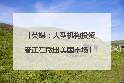 英媒：大型机构投资者正在撤出美国市场