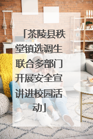 茶陵县秩堂镇选调生联合多部门开展安全宣讲进校园活动