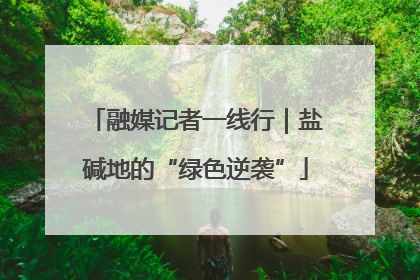 融媒记者一线行｜盐碱地的“绿色逆袭”