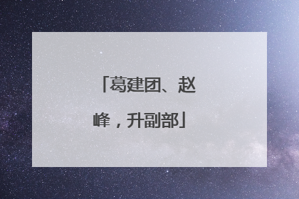 葛建团、赵峰，升副部
