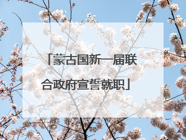 蒙古国新一届联合政府宣誓就职