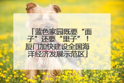 蓝色家园既要“面子”还要“里子”！厦门加快建设全国海洋经济发展示范区