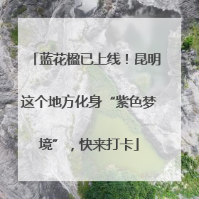 蓝花楹已上线！昆明这个地方化身“紫色梦境”，快来打卡