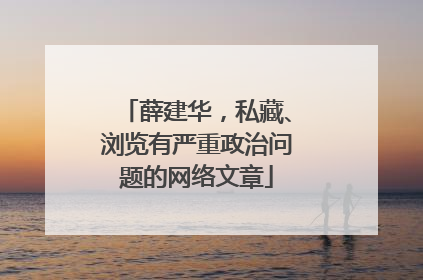 薛建华，私藏、浏览有严重政治问题的网络文章
