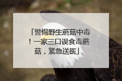 警惕野生蘑菇中毒！一家三口误食毒蘑菇，紧急送医