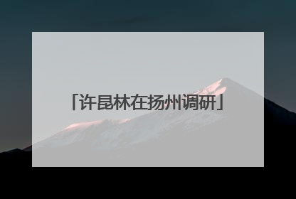 许昆林在扬州调研