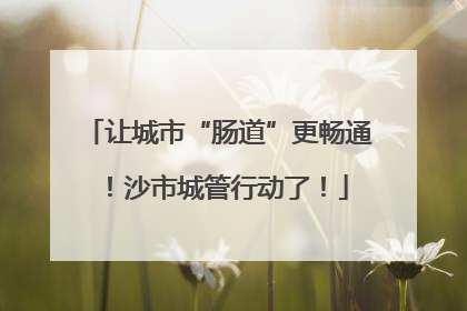让城市“肠道”更畅通！沙市城管行动了！