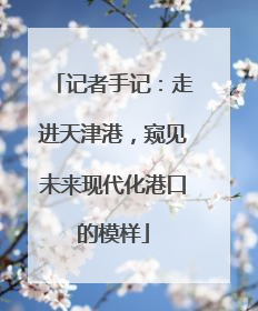 记者手记：走进天津港，窥见未来现代化港口的模样
