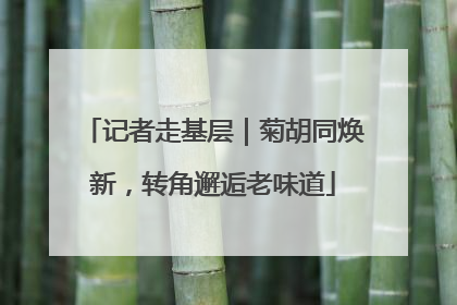 记者走基层｜菊胡同焕新，转角邂逅老味道