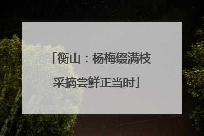 衡山：杨梅缀满枝 采摘尝鲜正当时