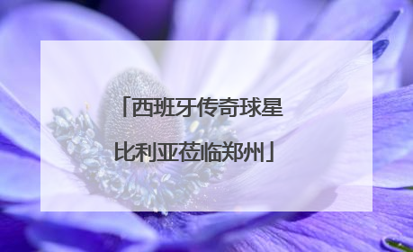 西班牙传奇球星 比利亚莅临郑州