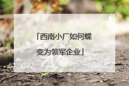 西南小厂如何蝶变为领军企业