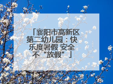襄阳市高新区第二幼儿园：快乐度暑假 安全不“放假”