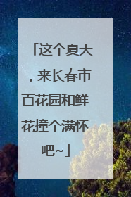 这个夏天，来长春市百花园和鲜花撞个满怀吧~