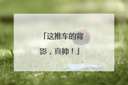这推车的背影，真帅！