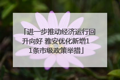 进一步推动经济运行回升向好 雅安优化新增11条市级政策举措