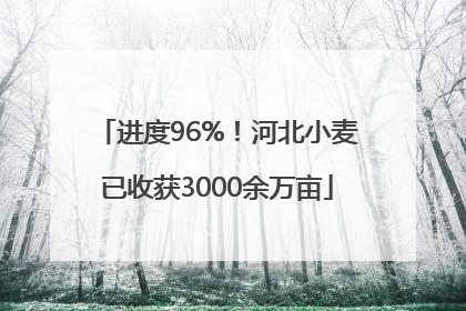 进度96%！河北小麦已收获3000余万亩