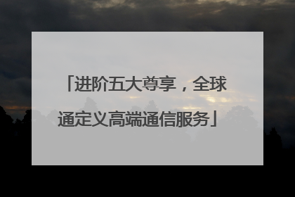 进阶五大尊享，全球通定义高端通信服务