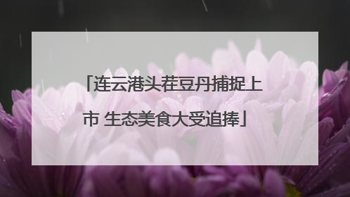 连云港头茬豆丹捕捉上市 生态美食大受追捧