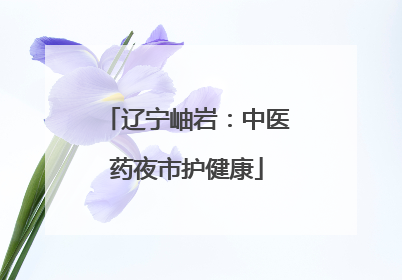 辽宁岫岩：中医药夜市护健康