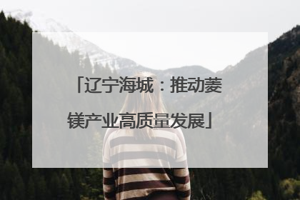辽宁海城：推动菱镁产业高质量发展
