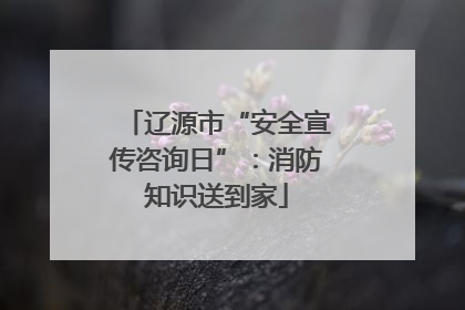 辽源市“安全宣传咨询日”：消防知识送到家