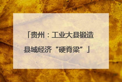 贵州：工业大县锻造县域经济“硬脊梁”