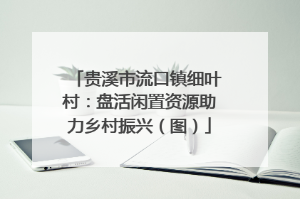 贵溪市流口镇细叶村：盘活闲置资源助力乡村振兴（图）