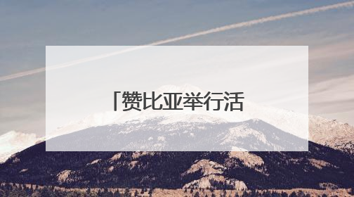 赞比亚举行活动纪念非洲日