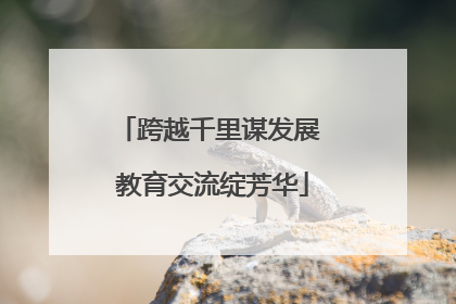 跨越千里谋发展 教育交流绽芳华