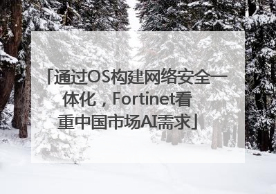 通过OS构建网络安全一体化，Fortinet看重中国市场AI需求