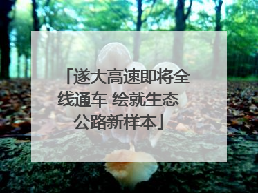 遂大高速即将全线通车 绘就生态公路新样本