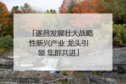 遂昌发展壮大战略性新兴产业 龙头引领 集群共进