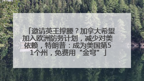 邀请英王撑腰？加拿大希望加入欧洲防务计划，减少对美依赖，特朗普：成为美国第51个州，免费用“金穹”