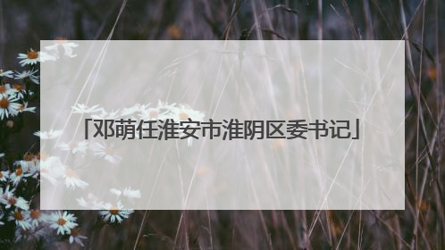 邓萌任淮安市淮阴区委书记