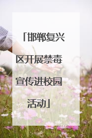 邯郸复兴区开展禁毒宣传进校园活动