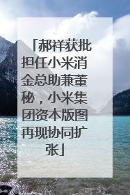 郝祥获批担任小米消金总助兼董秘，小米集团资本版图再现协同扩张