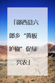 郧西县六郎乡“黄板护椒”促绿兴农