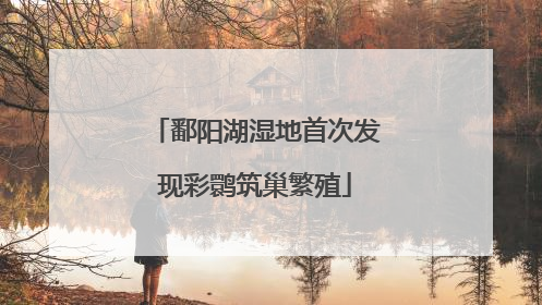 鄱阳湖湿地首次发现彩鹮筑巢繁殖