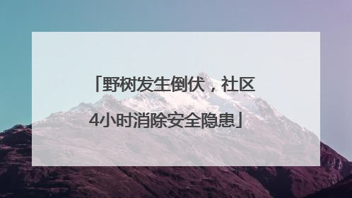 野树发生倒伏，社区4小时消除安全隐患
